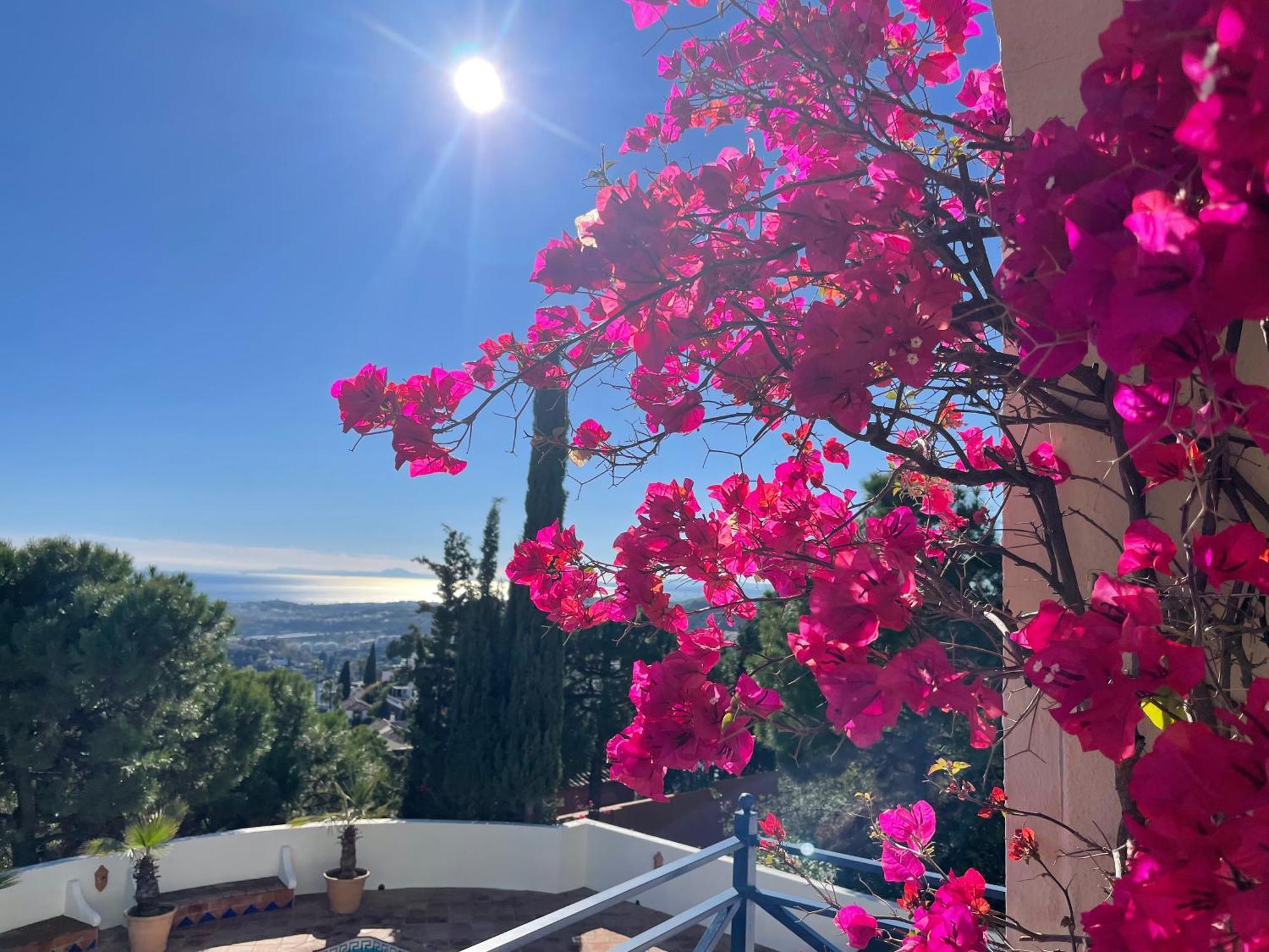 Boutique Hotel Maravilla - Marbella Benahavís Екстериор снимка