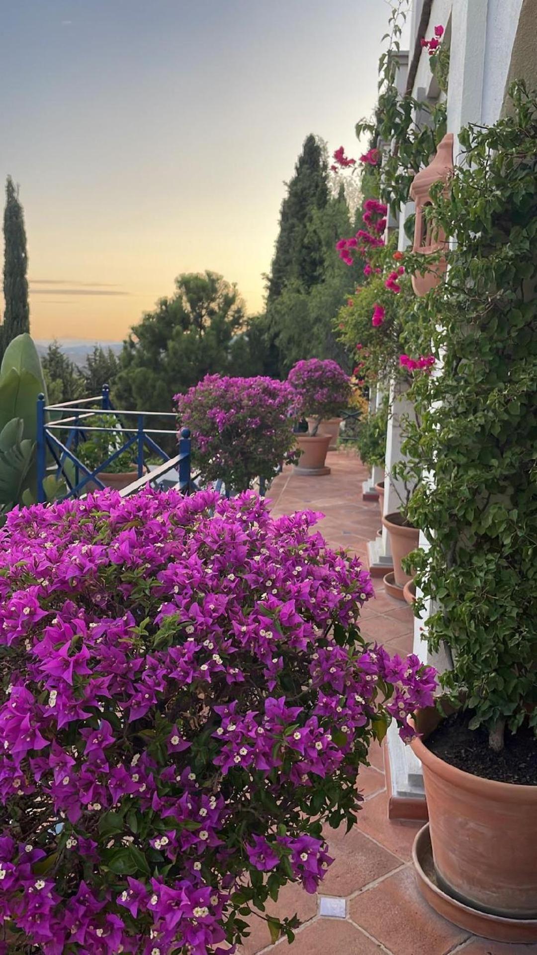 Boutique Hotel Maravilla - Marbella Benahavís Екстериор снимка
